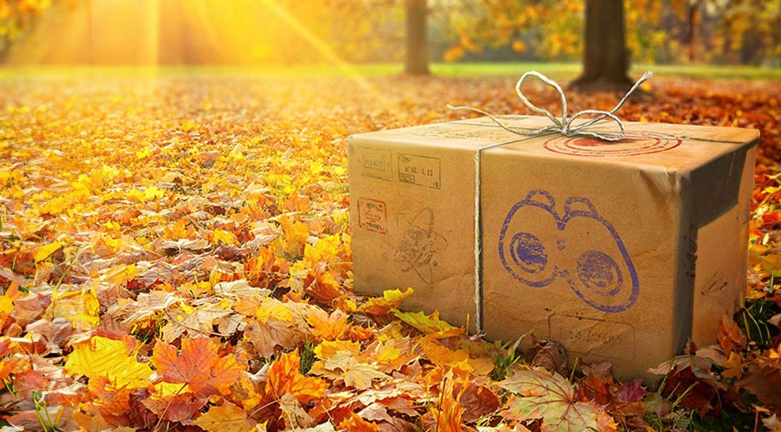 Elenco eventi Pokemon Go di novembre 2023: tutte le date di inizio e fine