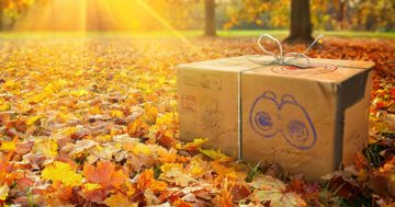 Elenco eventi Pokemon Go di novembre 2023: tutte le date di inizio e fine