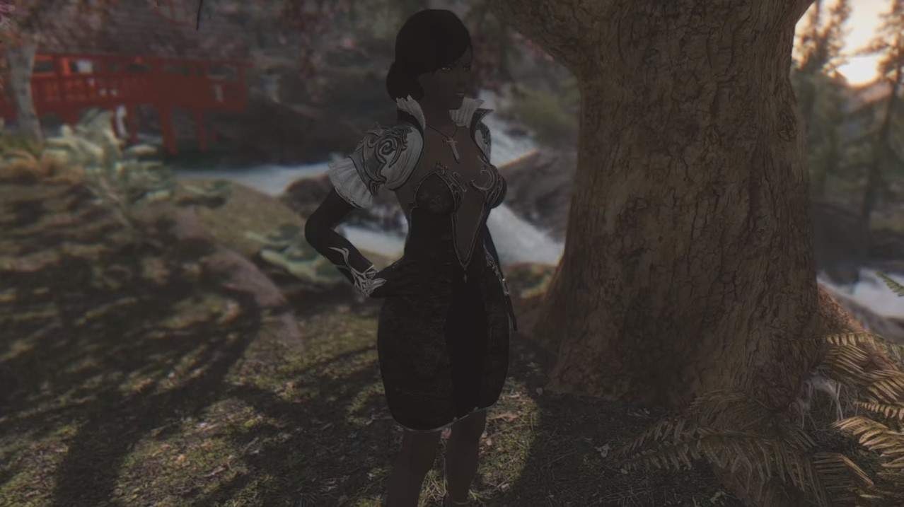 armatura da collezione tera armatura mod