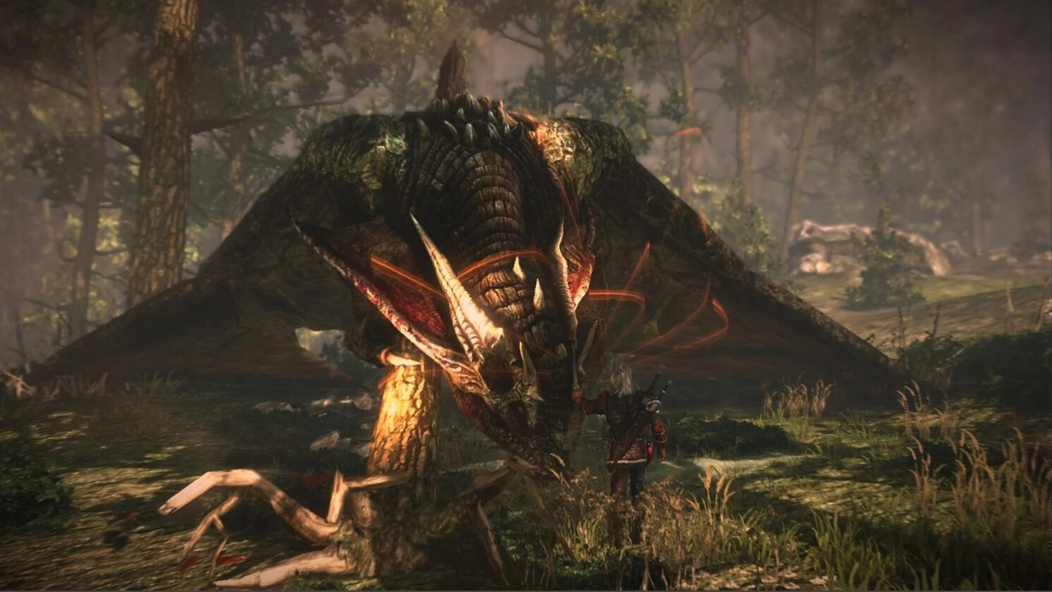Dovresti risparmiare il drago o ucciderlo in The Witcher 2