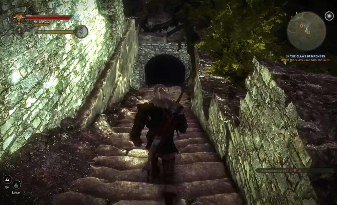 The Claws of Madness Quest In The Witcher 2