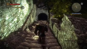 Soluzione The Witcher 2: In The Claws Of Madness Quest