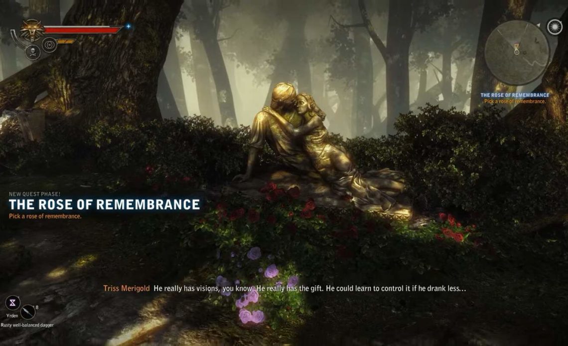 The Rose Of Remembrance In The Witcher 2
