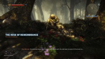 Come trovare la rosa della memoria in The Witcher 2