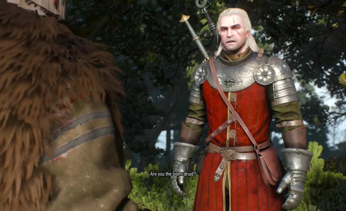 the witcher 3 shock therapy