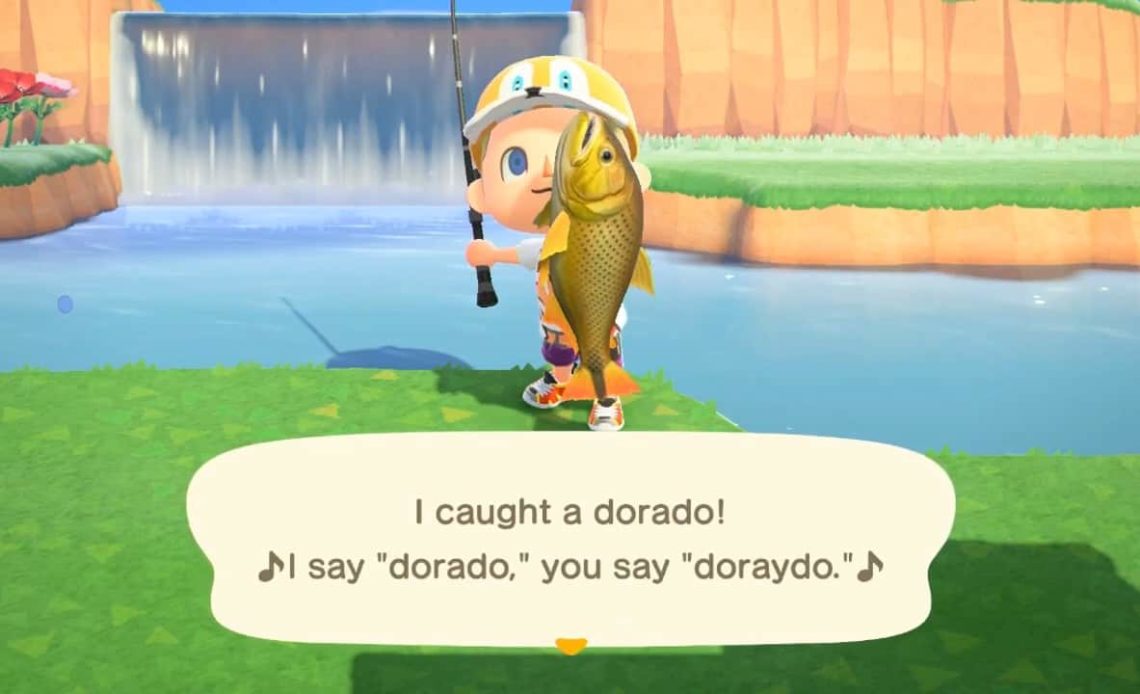 Dorado in Animal Crossing New Horizons
