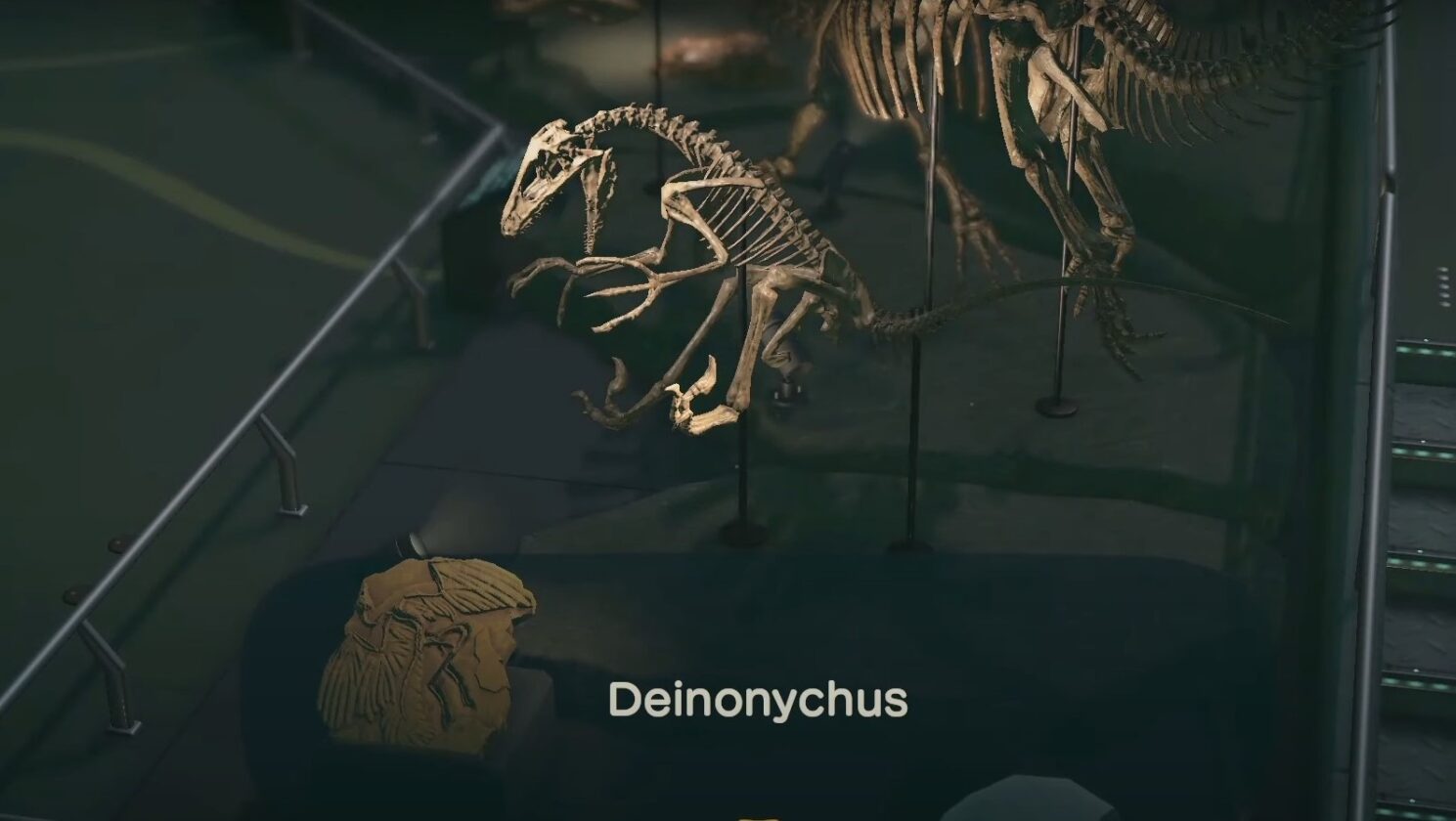 Fossili di Animal Crossing New Horizons