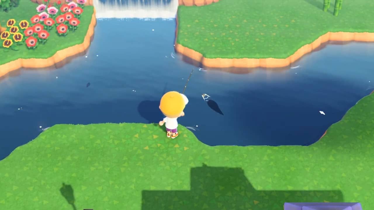 Ombra del pesce Dorado in Animal Crossing New Horizons