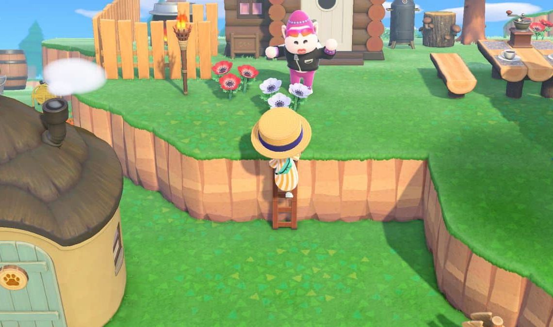 Animal Crossing New Horizons Ladder