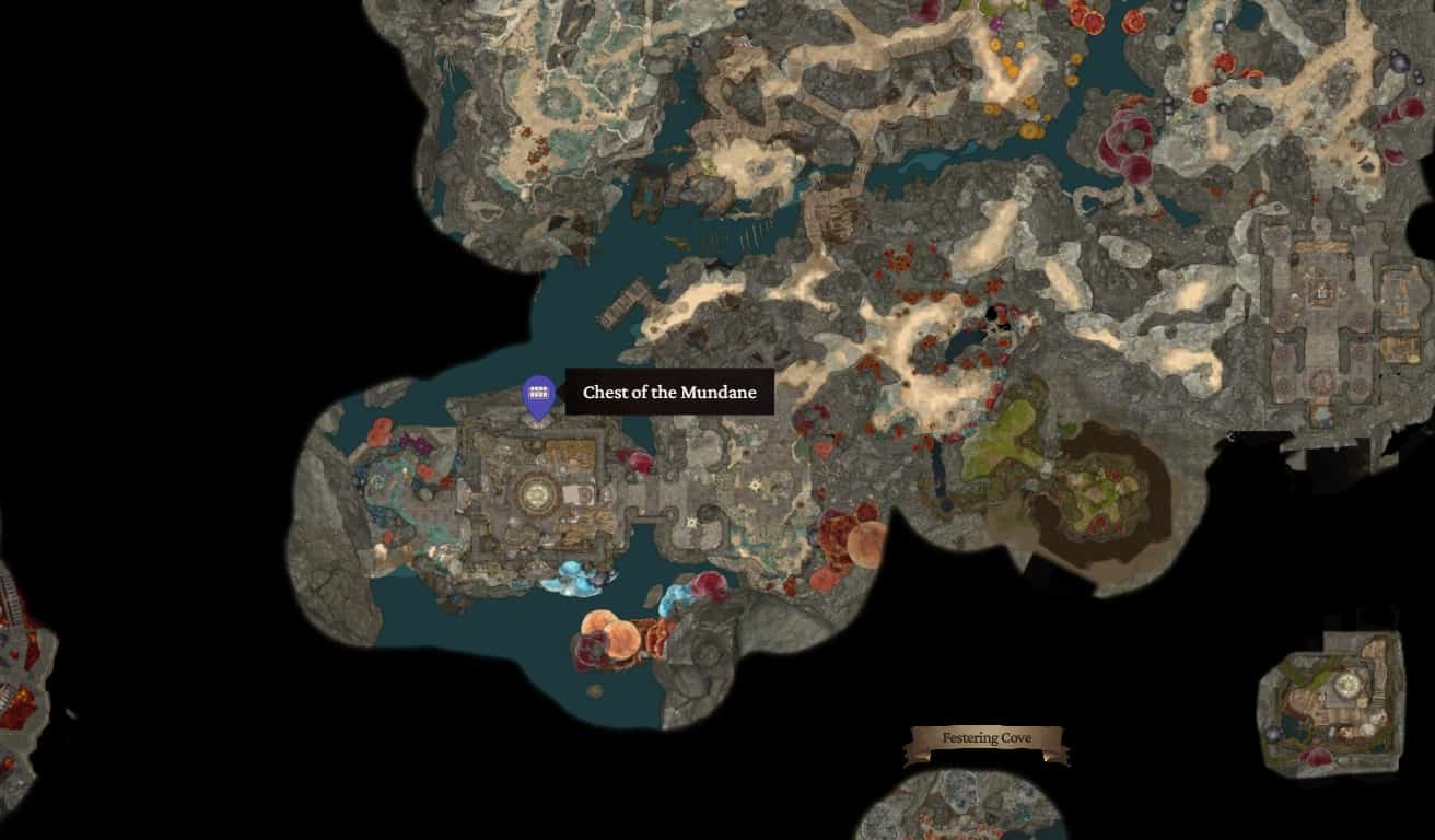 Posizione del baule del mondano in Baldur's Gate 3