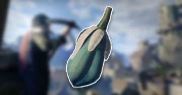 Posizione del frutto Yucca avvolto: dove trovare il frutto Yucca