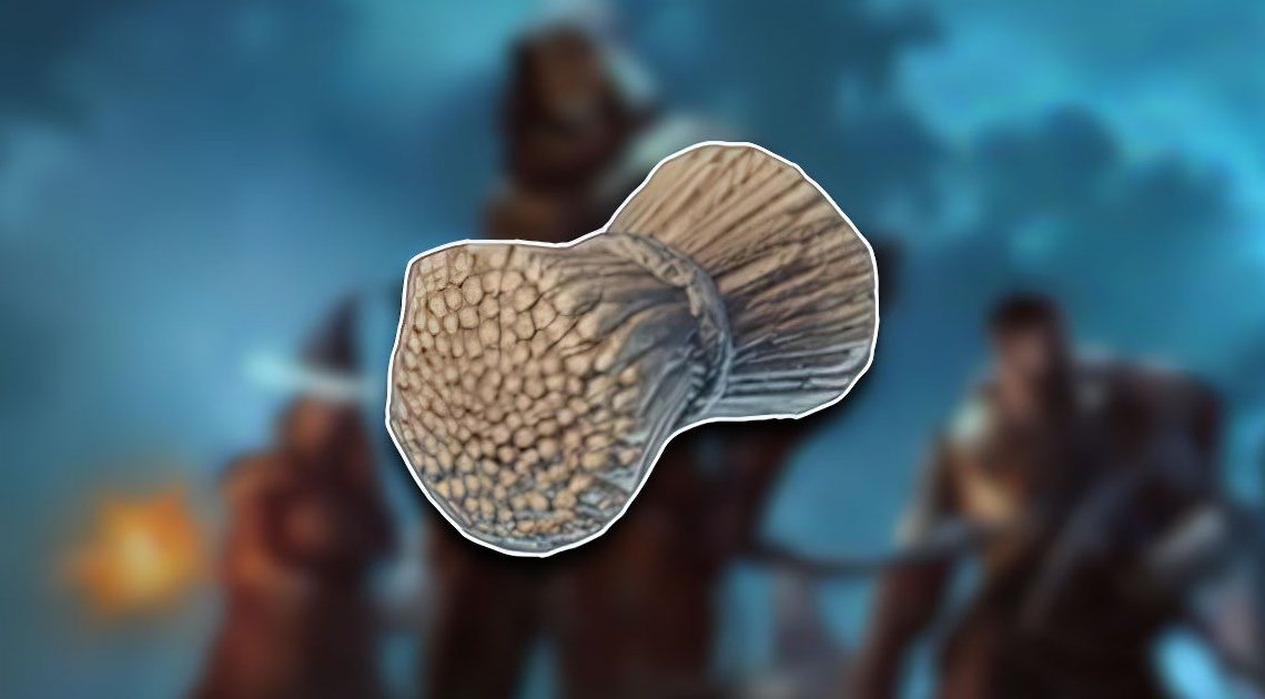 Posizione della paglia avvolta: dove trovare la paglia