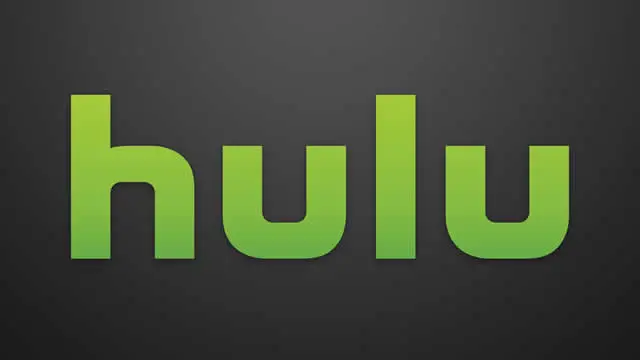 Cosa causa il codice di errore Hulu 95?