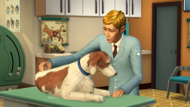 Sims 4 Veterinario: come iniziare la carriera veterinaria in cani e gatti