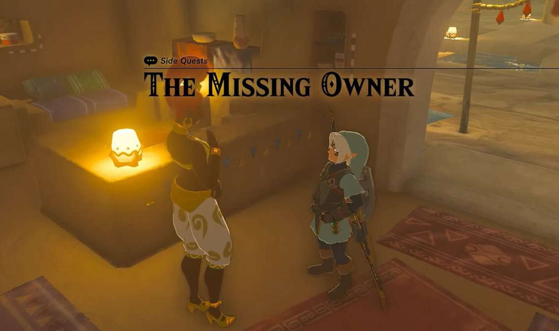 tears of the kingdom missing owner
