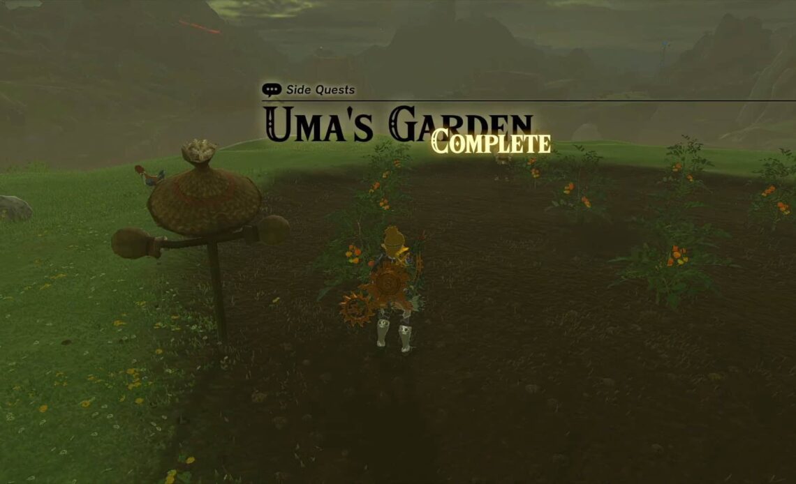 zelda: tears of the kingdom Uma's Garden