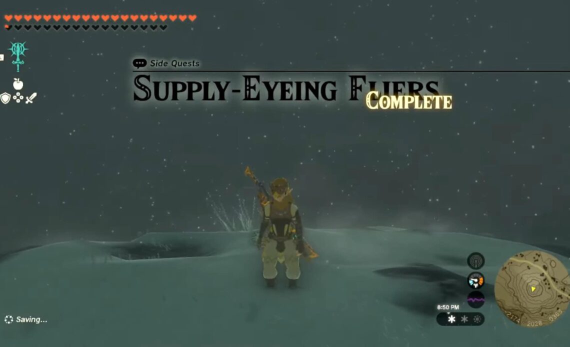 Supply-Eyeing Fliers Zelda: Tears of the Kingdom