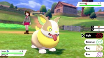 Pokemon Spada e Scudo: la migliore guida ai primi Pokemon