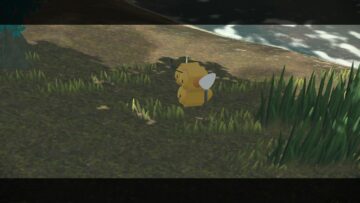 Dove trovare Combee nel sapore del miele in Pokemon Legends Arceus?