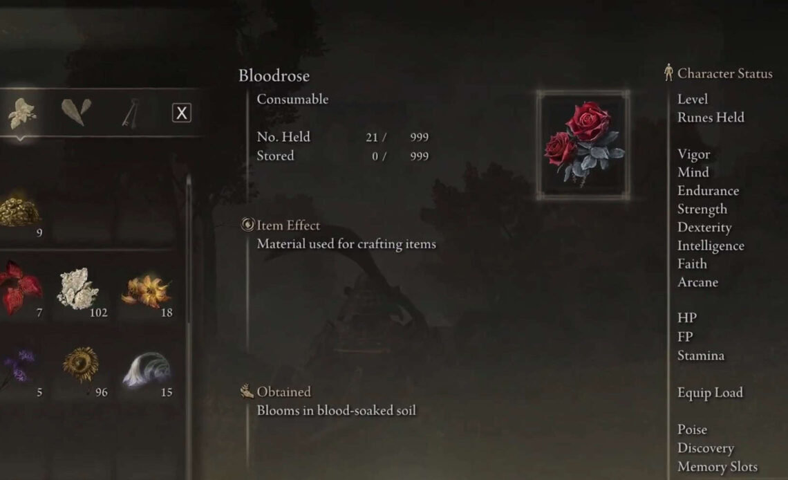 Bloodrose Elden Ring