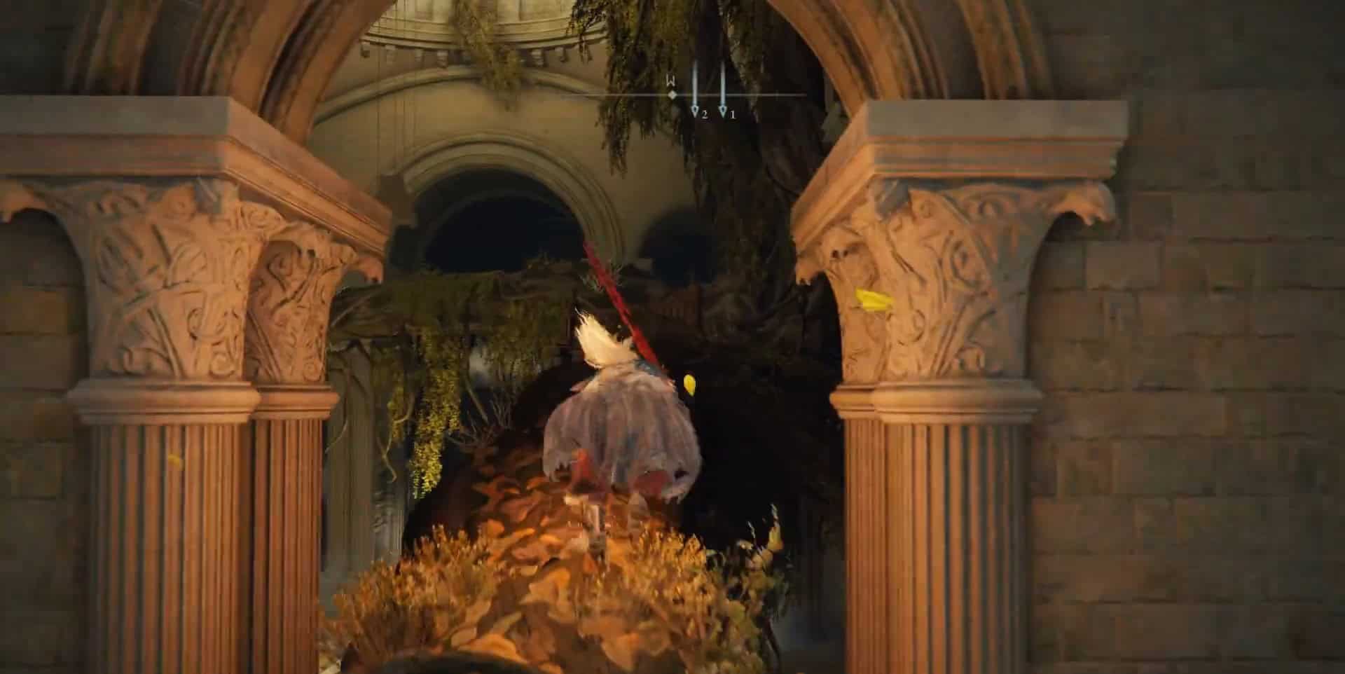 arrampicarsi sul tronco dell'albero