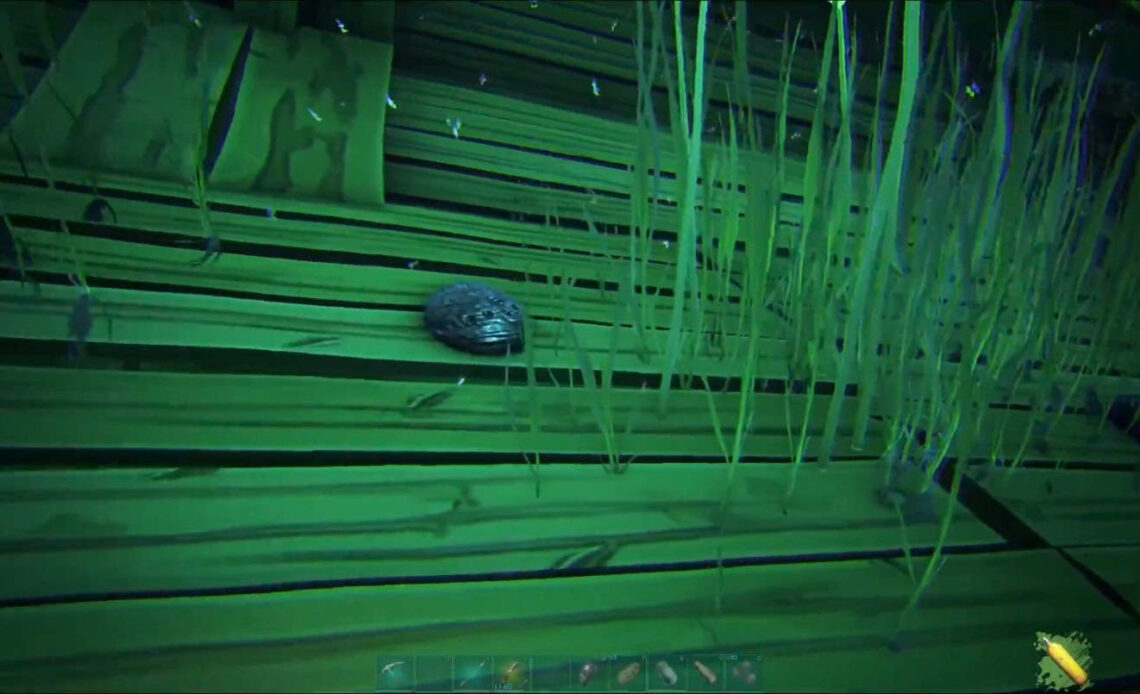 ark ragnarok black pearl