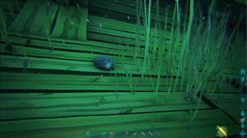 Guida alle posizioni dell'Arca Ragnarok Black Pearl