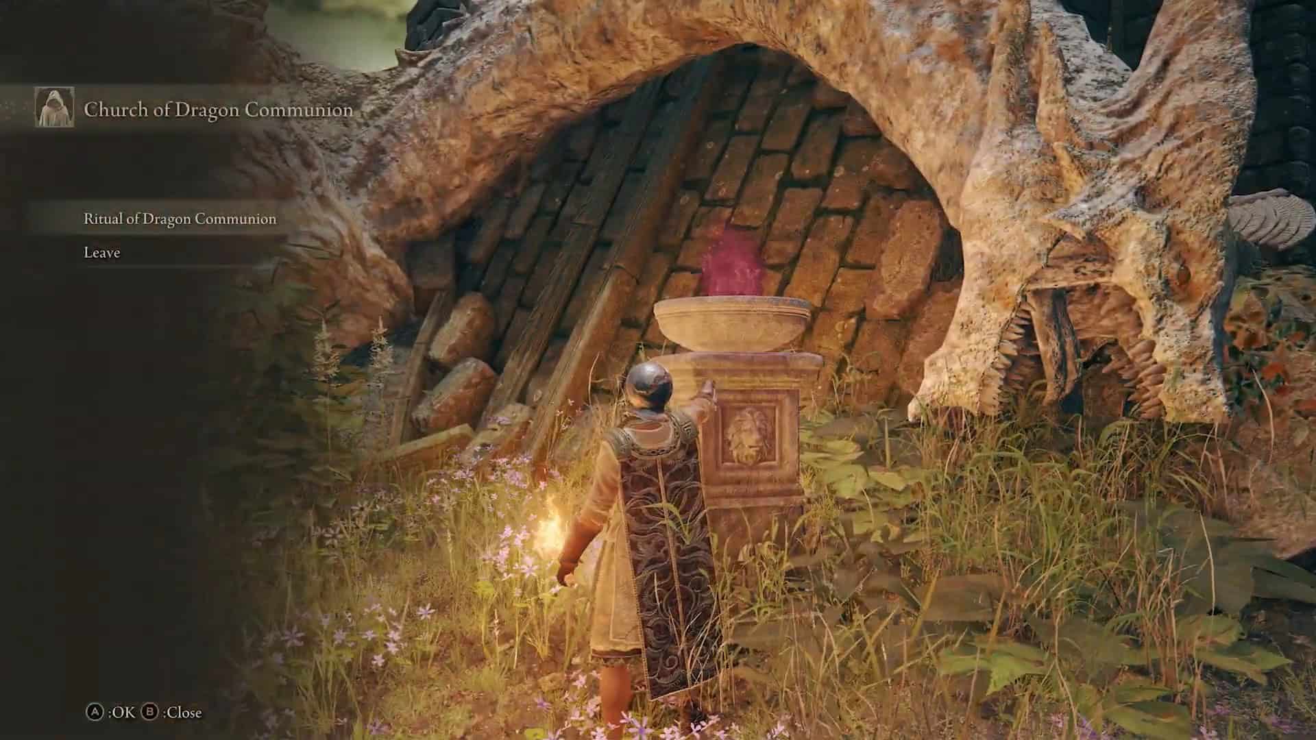 Acquistabile dall'Altare del Drago