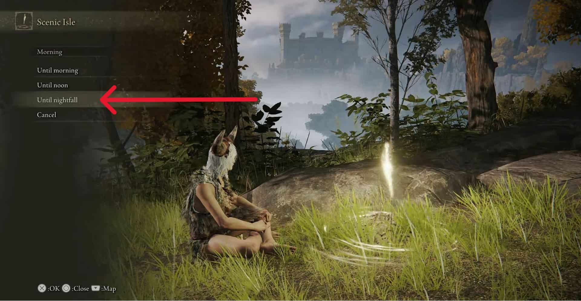 aspettare fino a notte