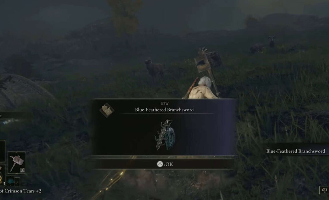 Blue-Feathered Branchsword elden ring