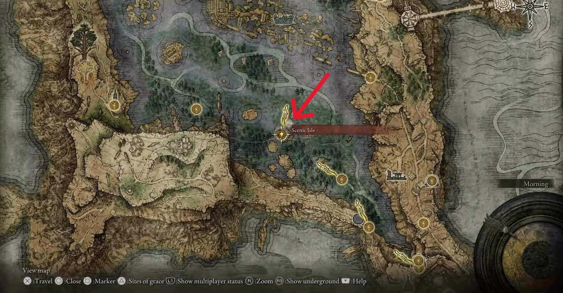 posizione dello spadone piumato rosso