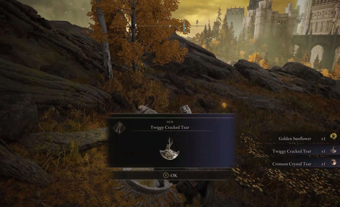 Twiggy Cracked Tear Elden Ring