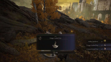 Come ottenere lo strappo incrinato di Twiggy in Elden Ring