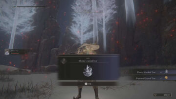 Come ottenere lo strappo spinoso e incrinato in Elden Ring