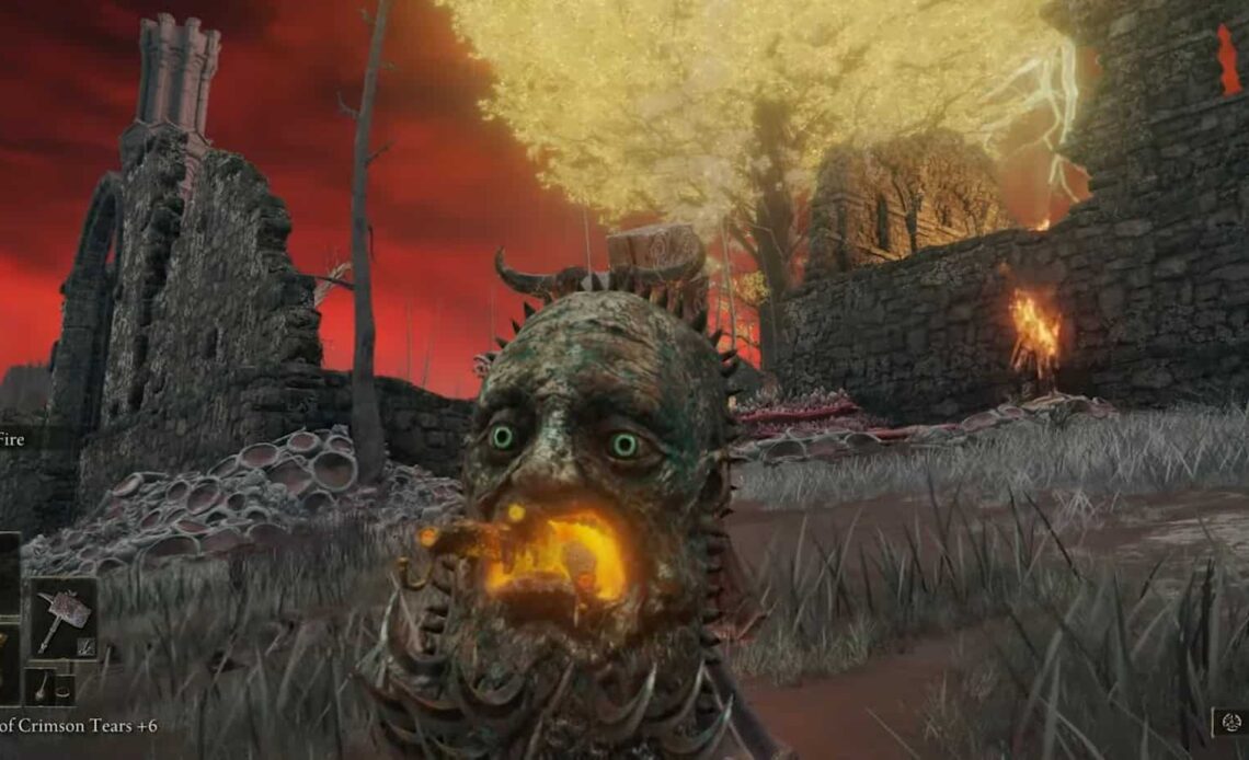 Visage Shield Elden Ring