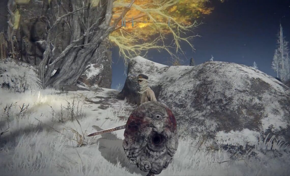 One-Eyed Shield Elden Ring