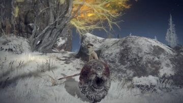 Come ottenere lo scudo con un occhio solo in Elden Ring