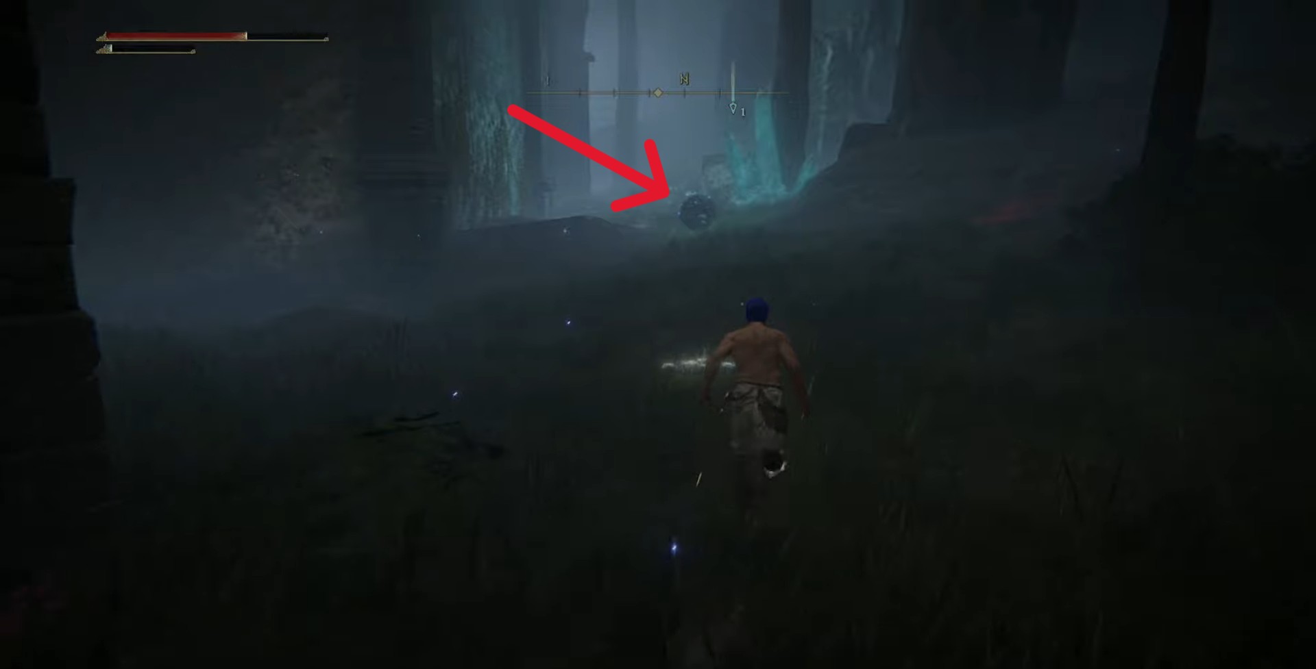 maniero di caria scarabeo a goccia