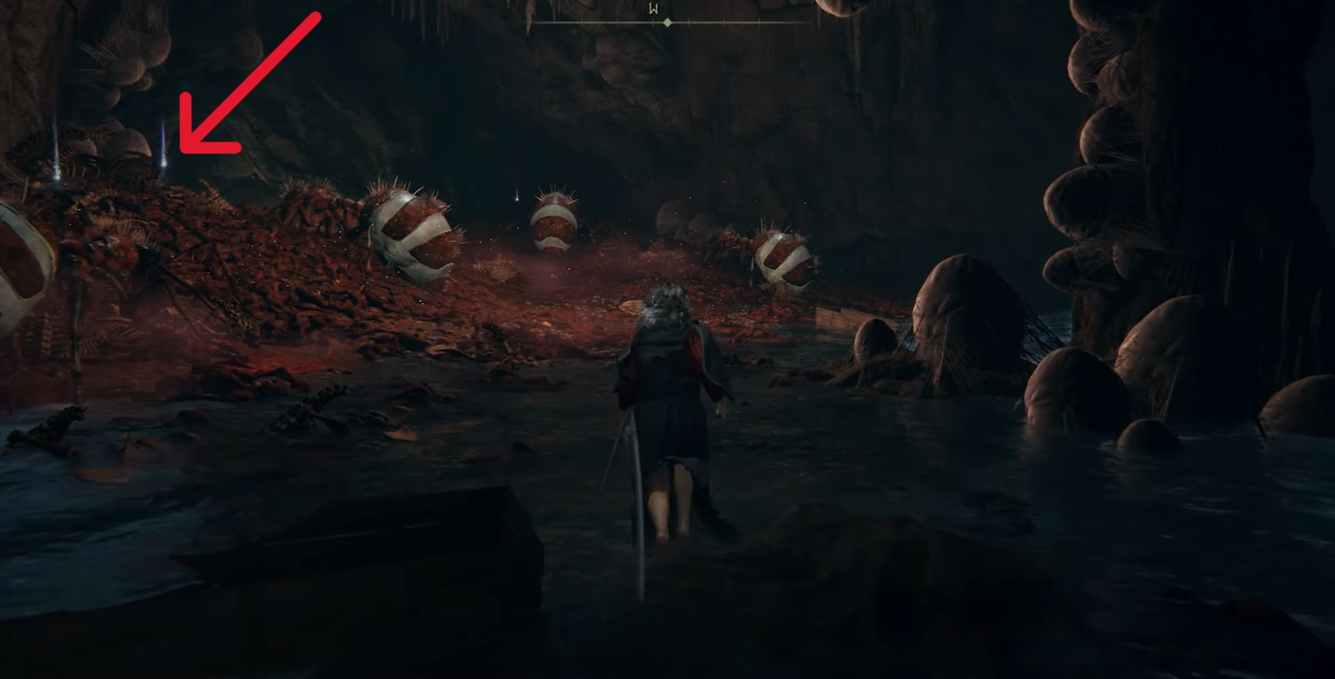 posizione del fascino del corno immunizzante