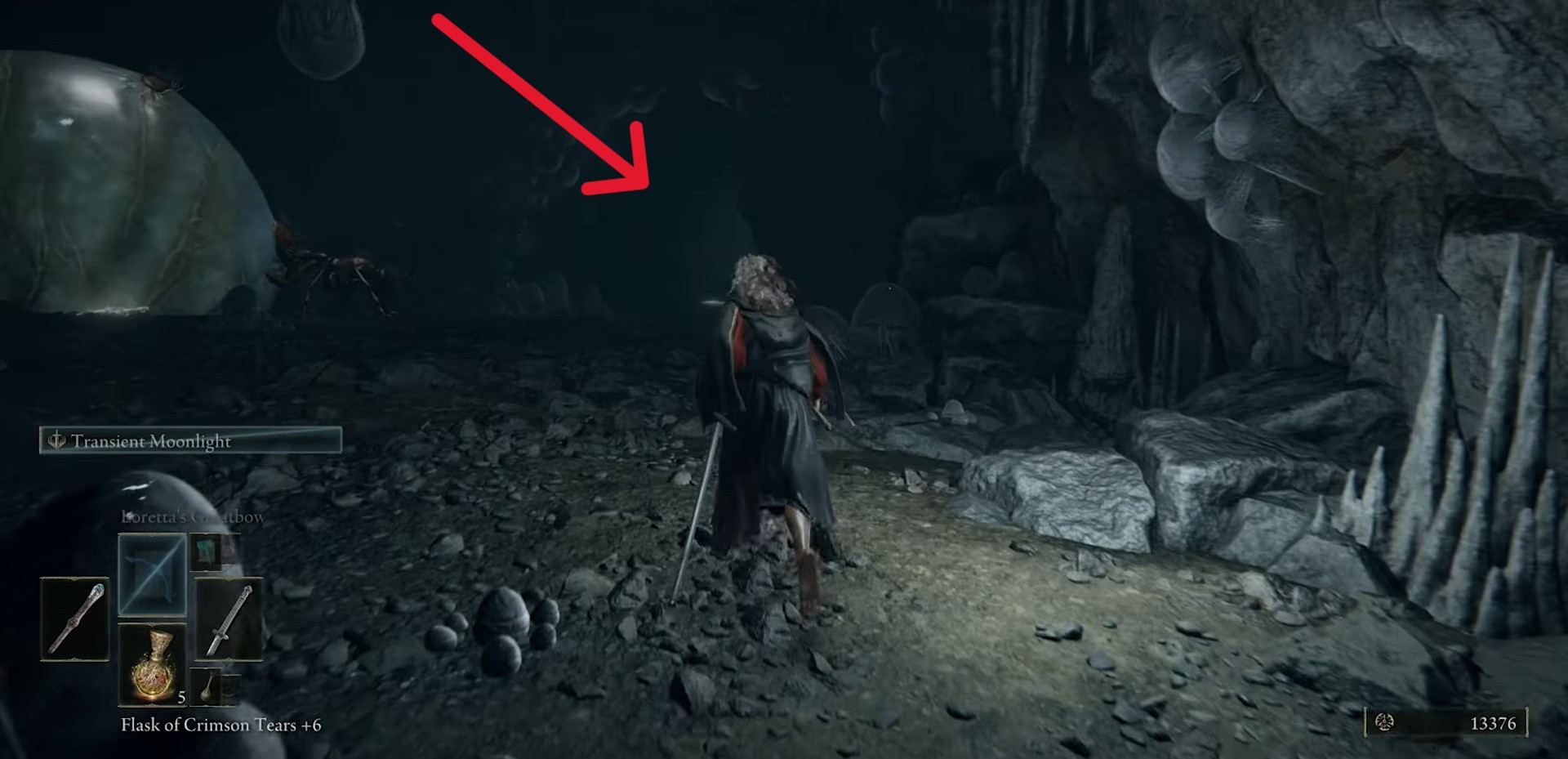 grotta con la regina formica