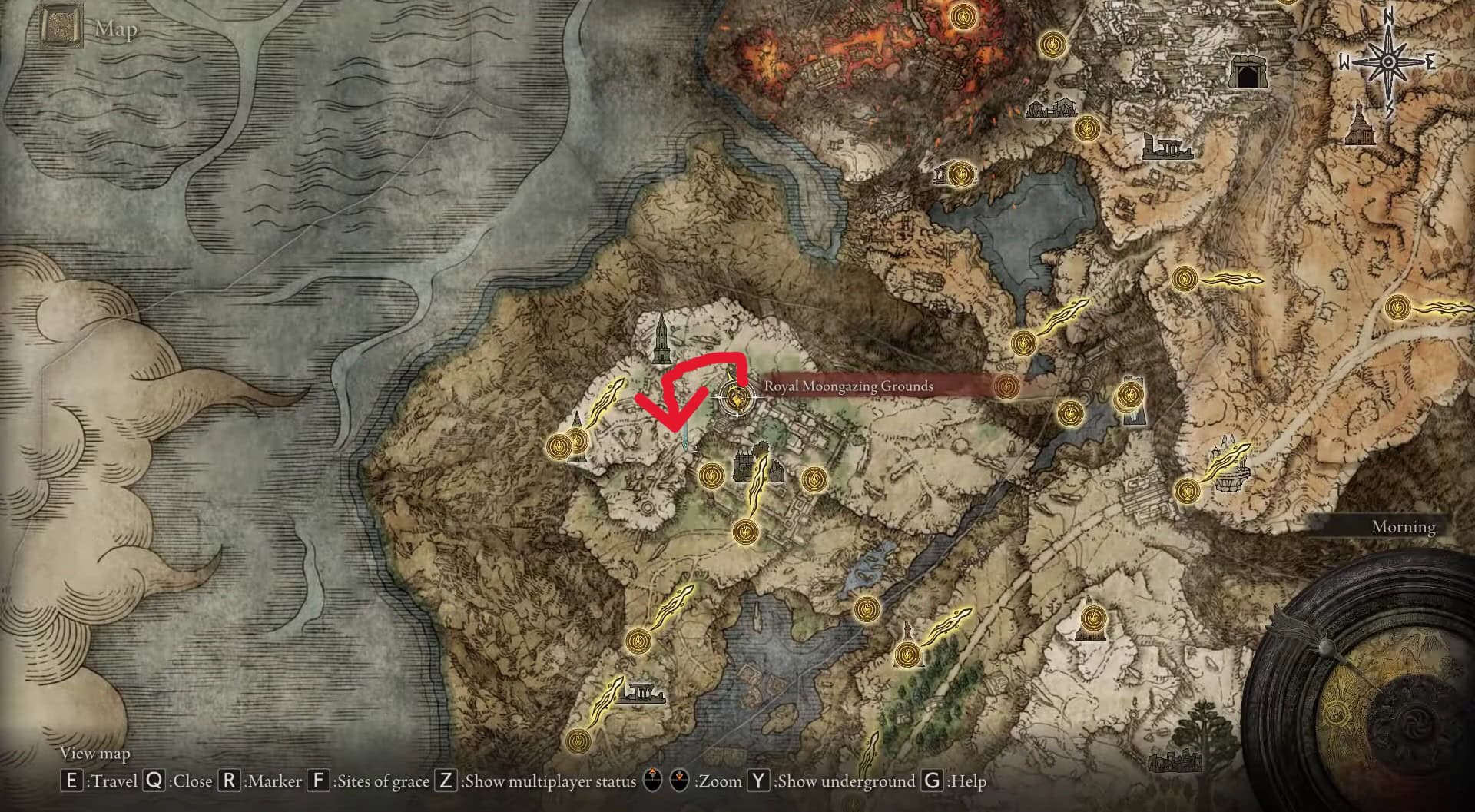 Anello Elden della posizione di Pidia