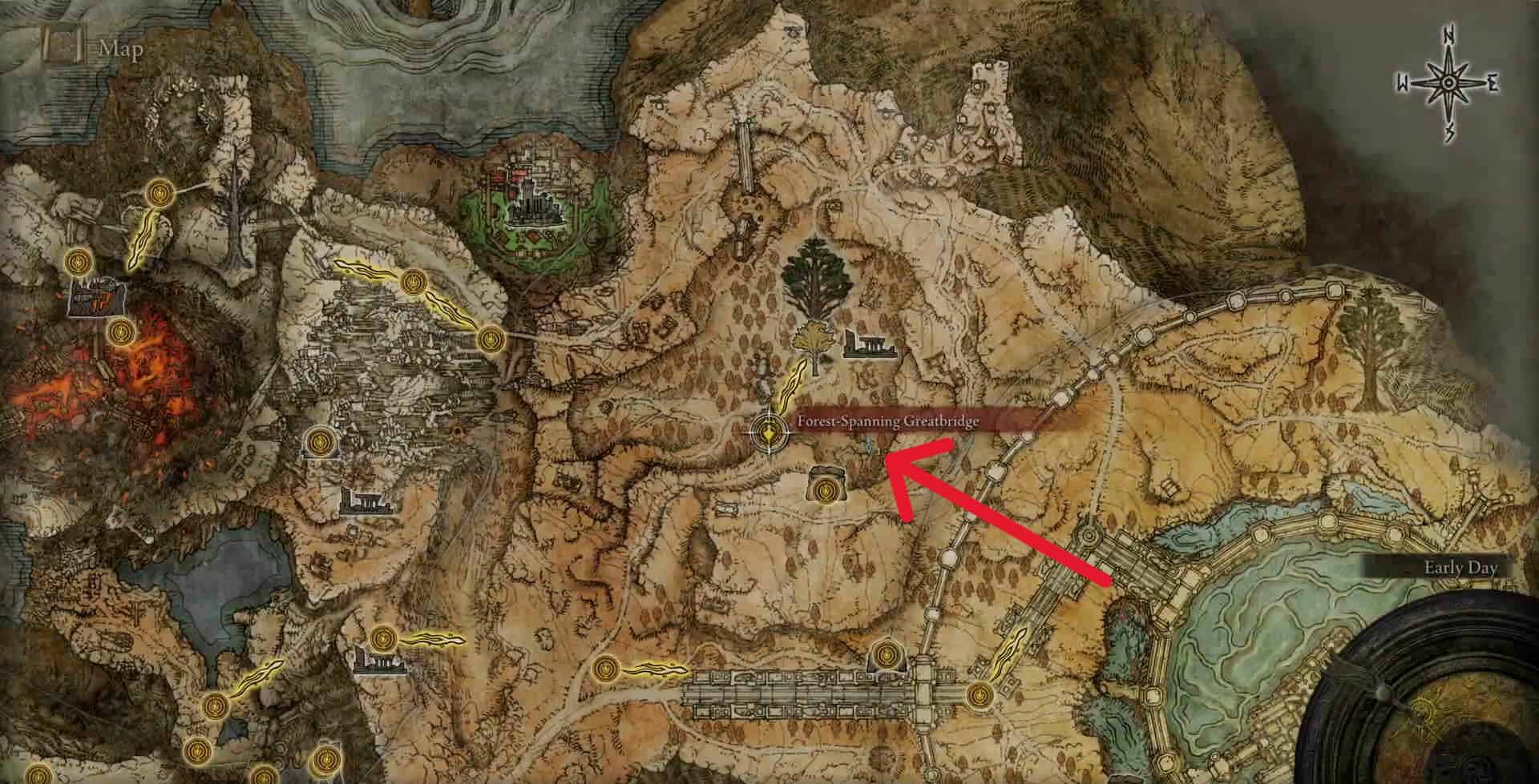 Posizione delle rovine dei boschi