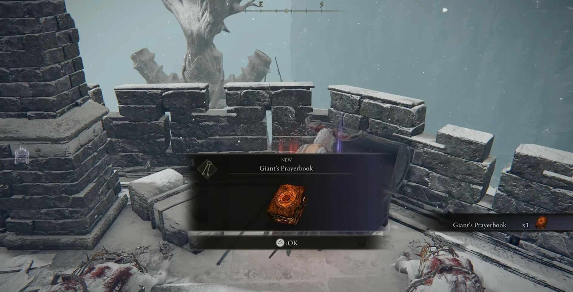 Posizione del libro di preghiere del gigante