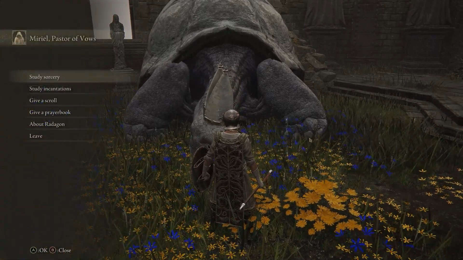 dai la pergamena dell'Accademia a Miriel