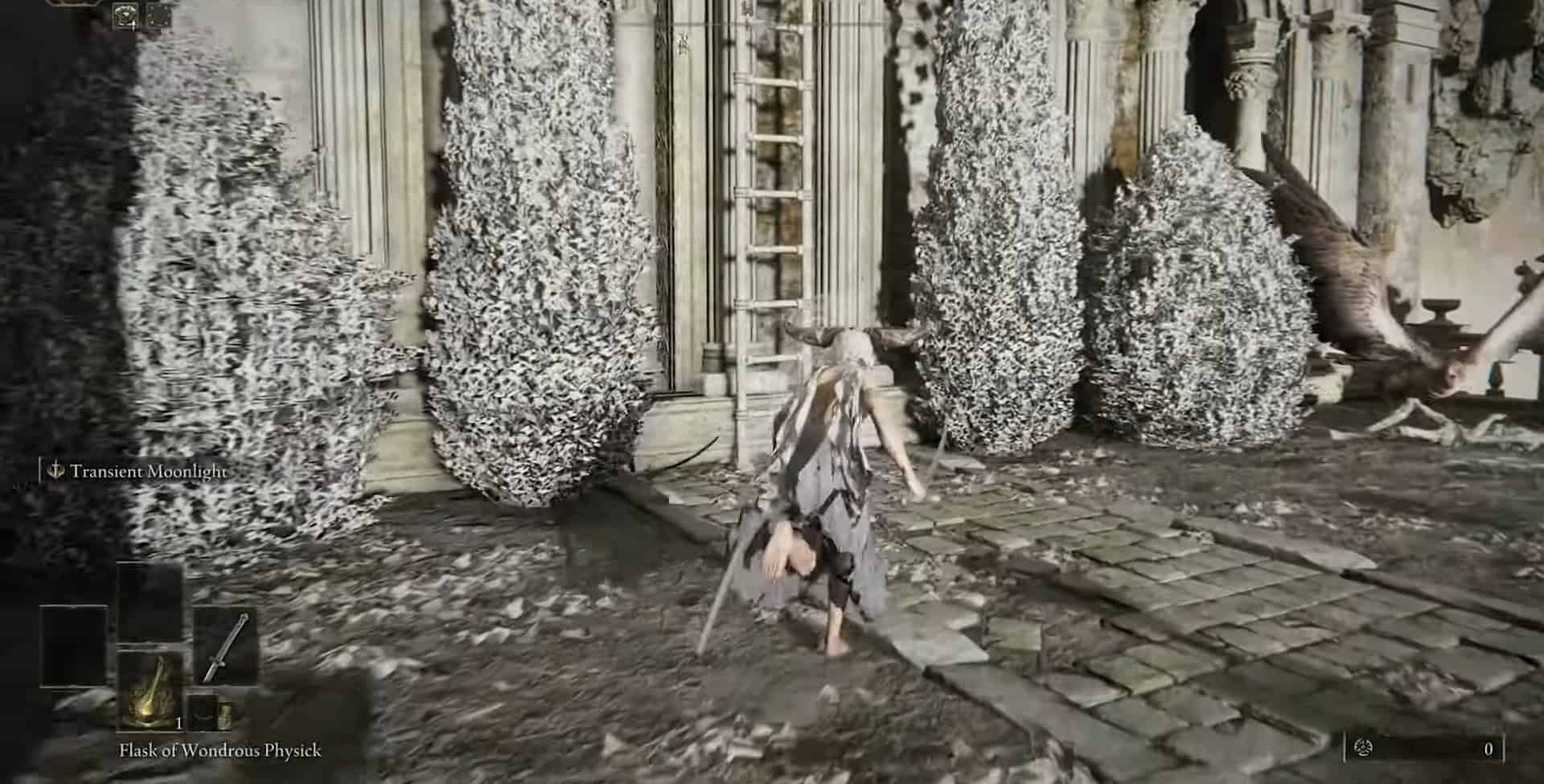 Salite le scale per il drago Towershield