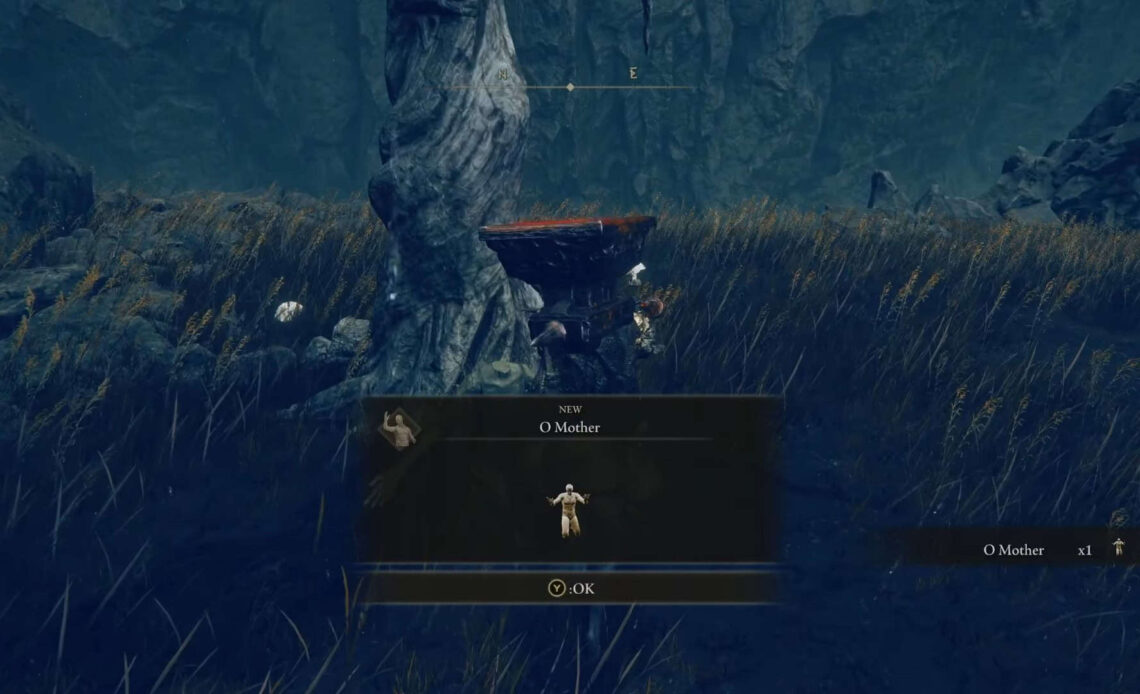 O Mother Gesture Elden Ring