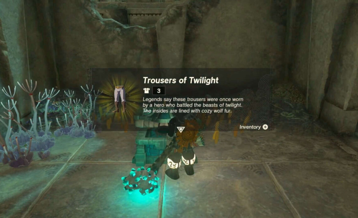 Trousers of Twilight totk