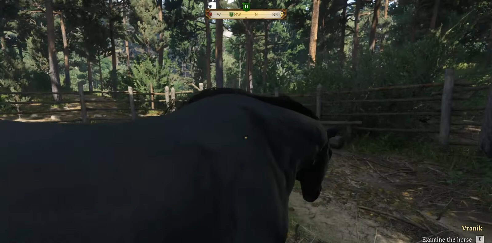 KCD2 Esamina il cavallo nero