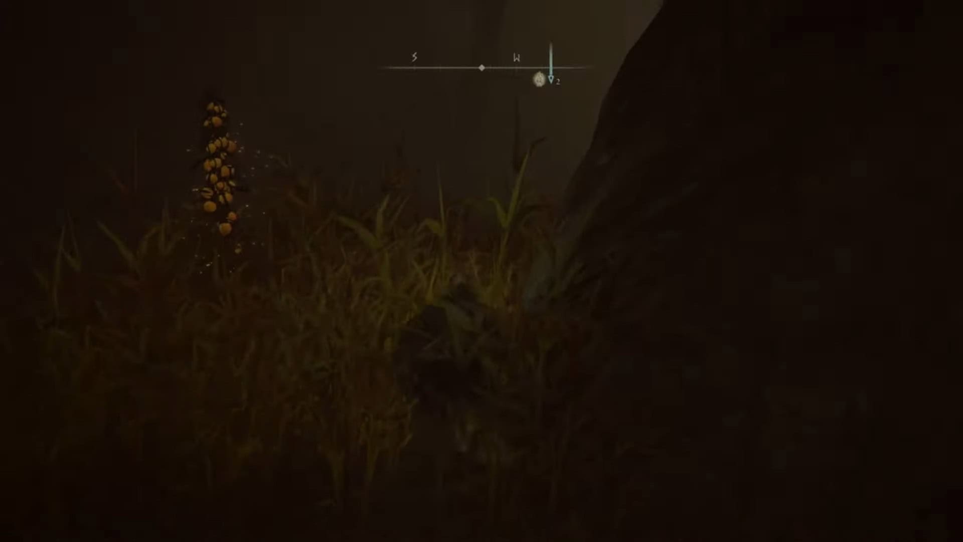 Usa boschi abissati invisibili