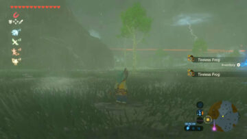 Dove coltivare instancabili rane a Zelda: lacrime del regno